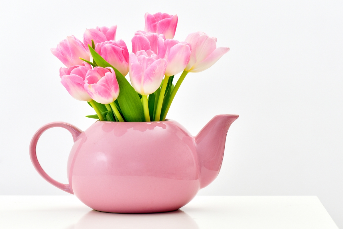 Pink tulip teapot 4K