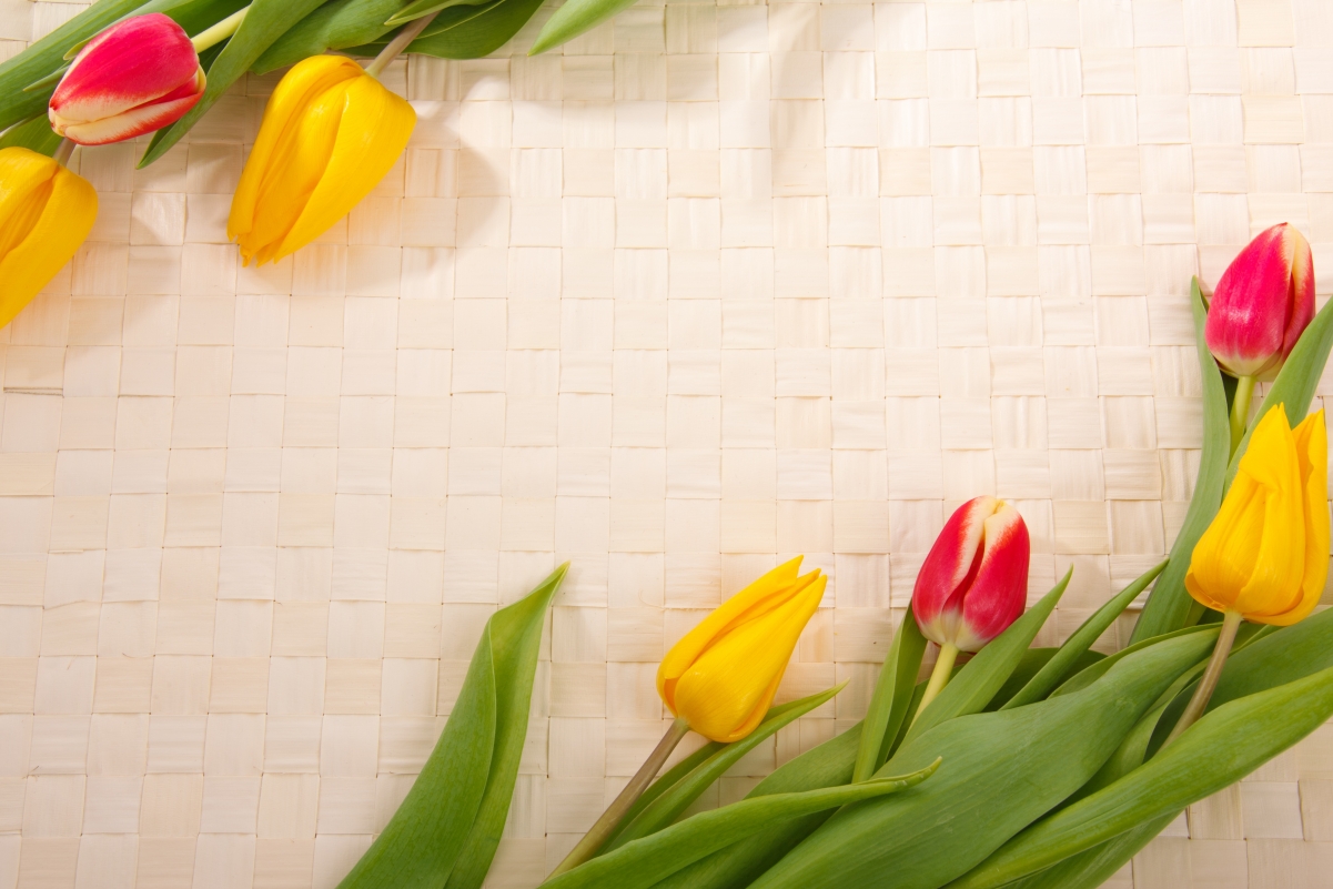 Tulips placed on a woven bamboo background