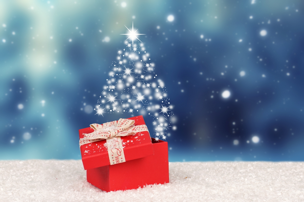 Winter snow, christmas, new year, holy