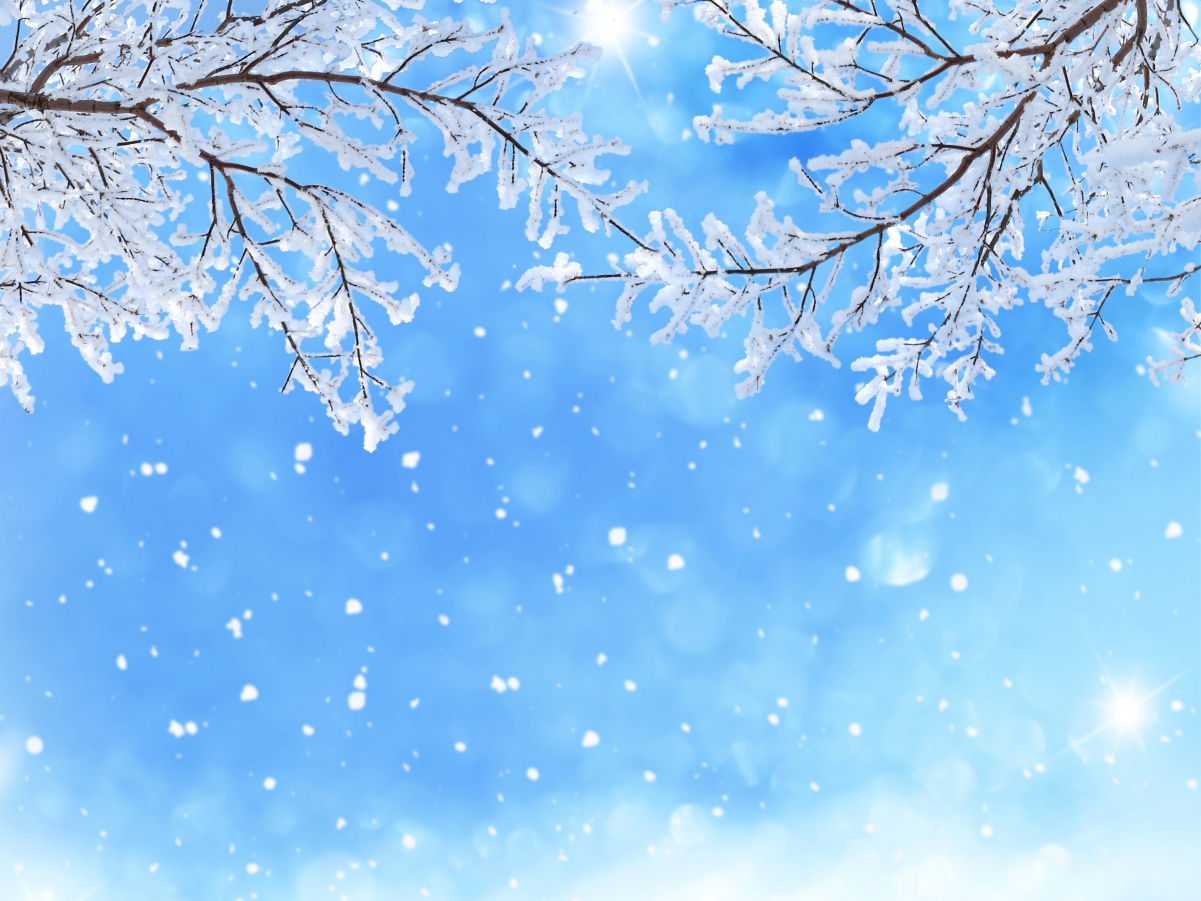 Winter sky snowflake branches blue