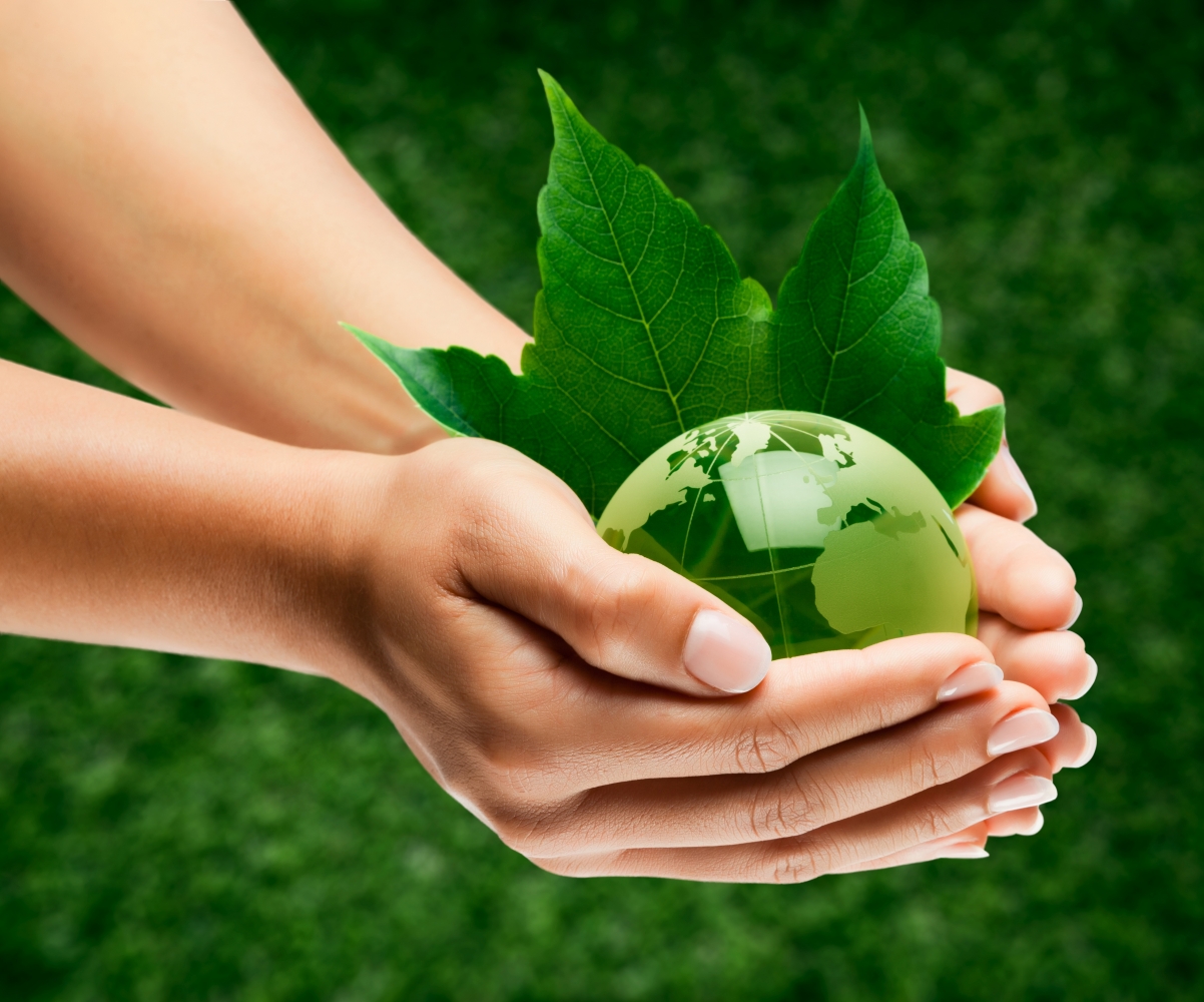 Earth Eco Hand Creative 4K Design