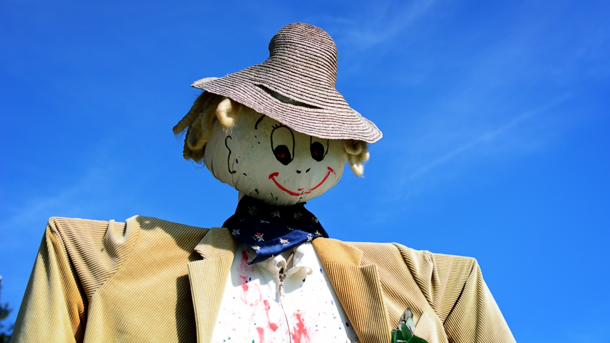 Scarecrow straw woman country