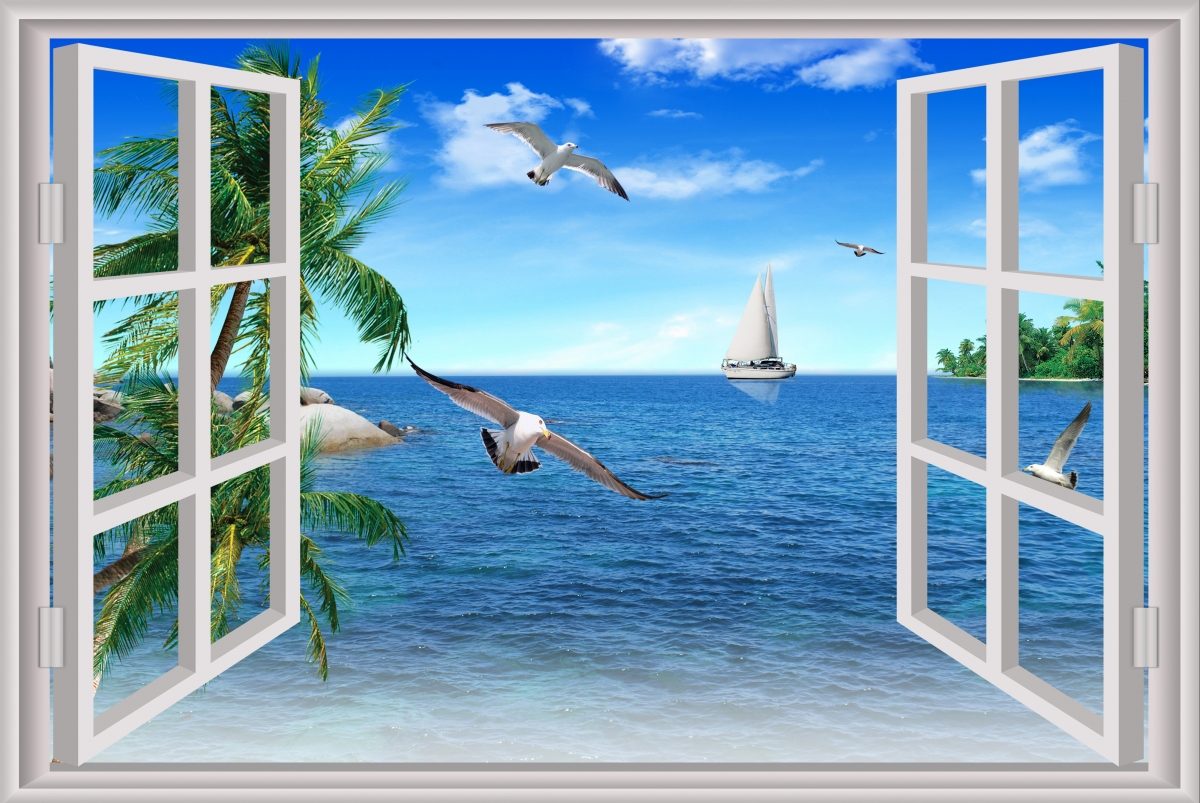 Window sky ocean bird tree