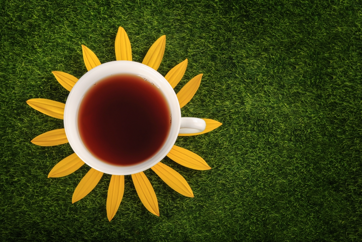 Teacup Grass Flower 4K Picture