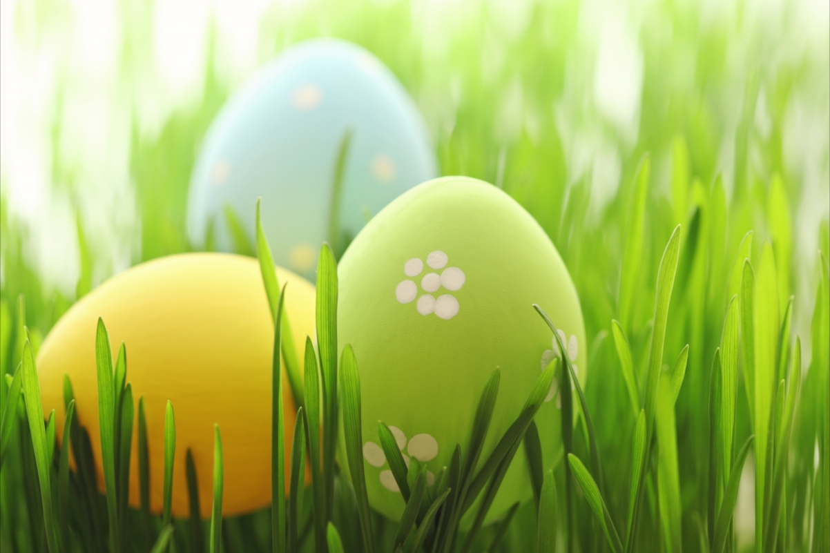 Grass pastel easter easter color