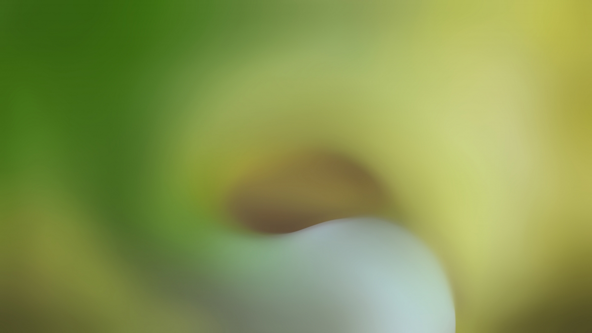 Colored hope green background 5k