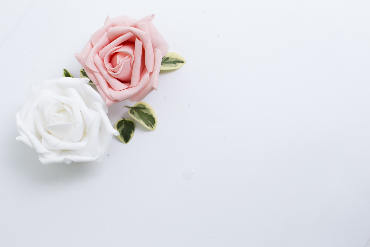 Simple background of flowers on white background