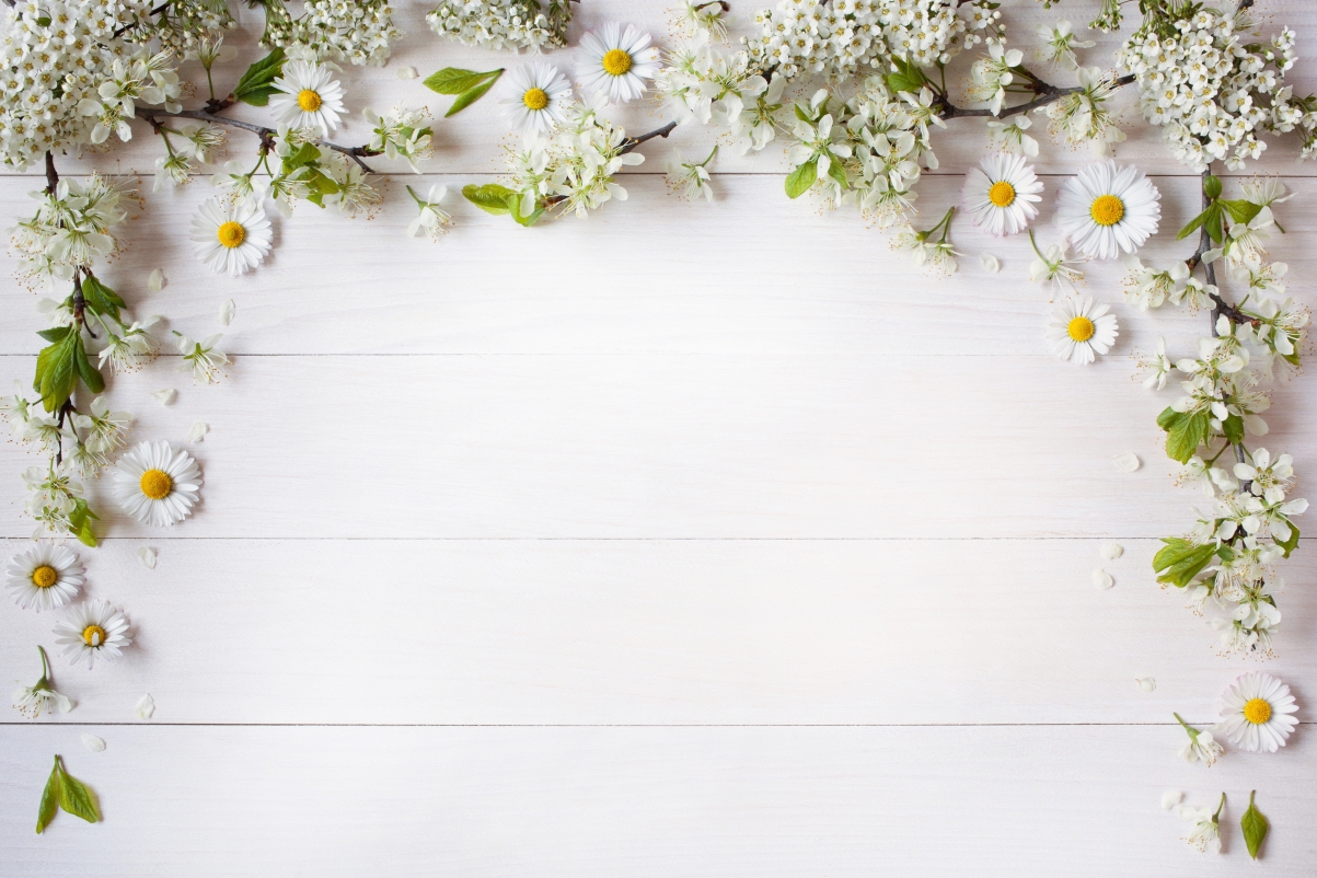 White background decorative petals rambutan