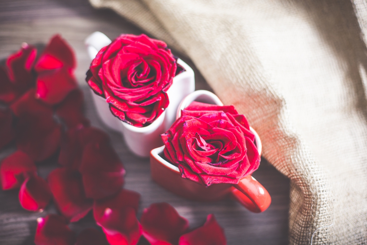 Love coffee cup rose flower 4k wallpaper