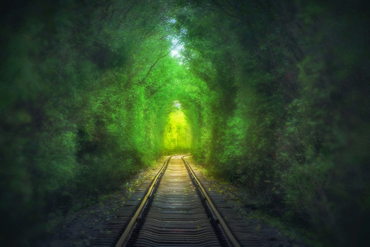 Love tunnel 4K landscape picture