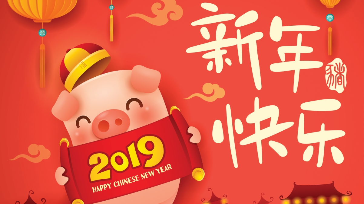 2019 pig year happy new year 4k computer