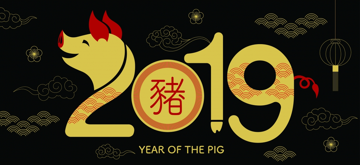 2019 pig year happy new year 4k wallpaper