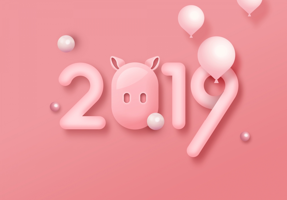 2019 pig year digital poster pink back