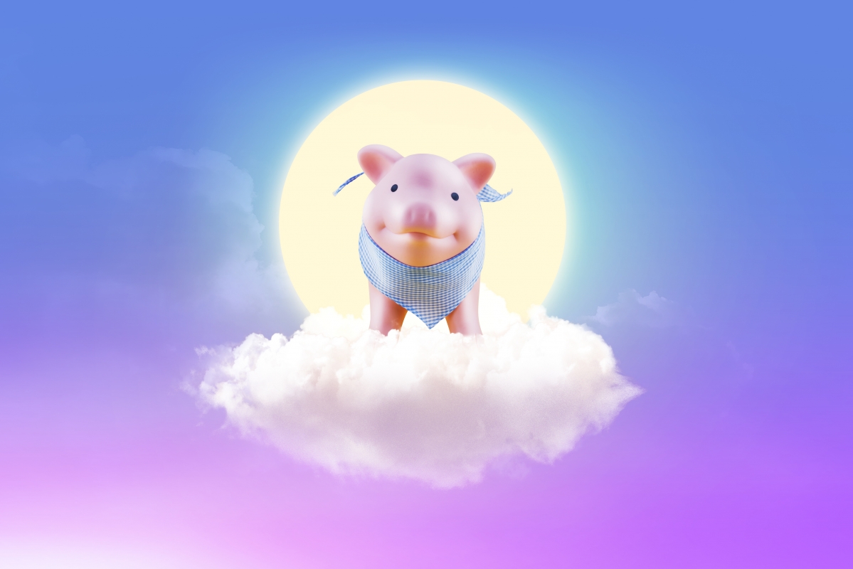 2019 new year cartoon pig 5k wallpaper