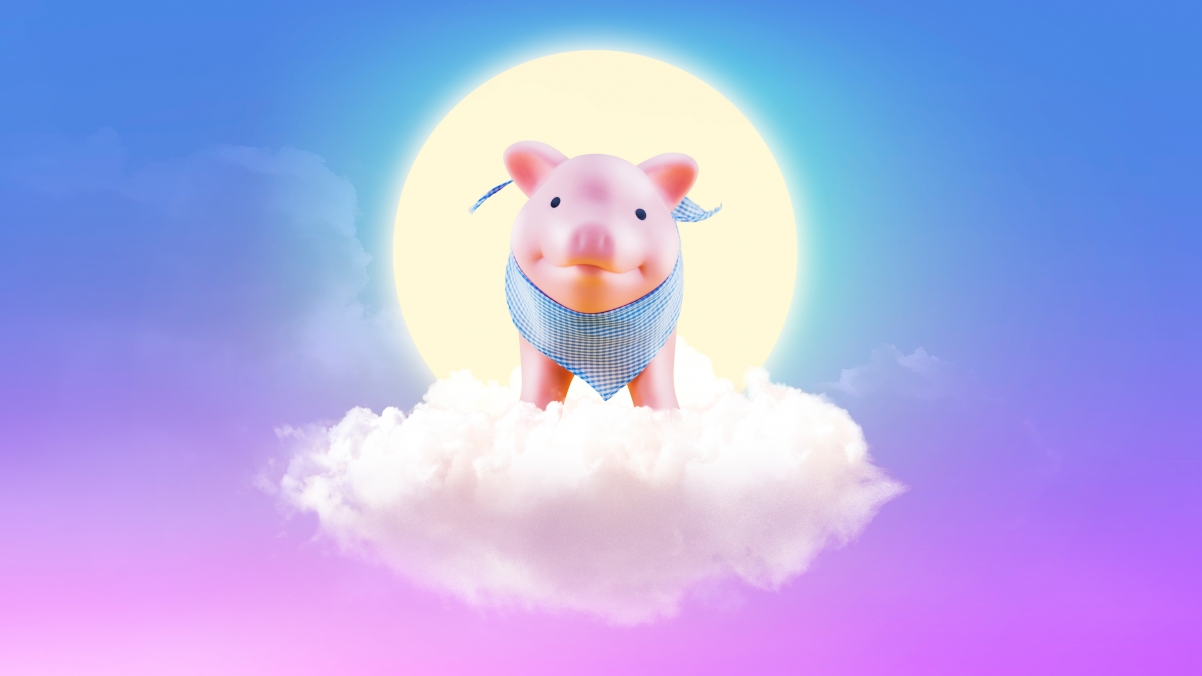 2019 new year cartoon pig 4k wallpaper