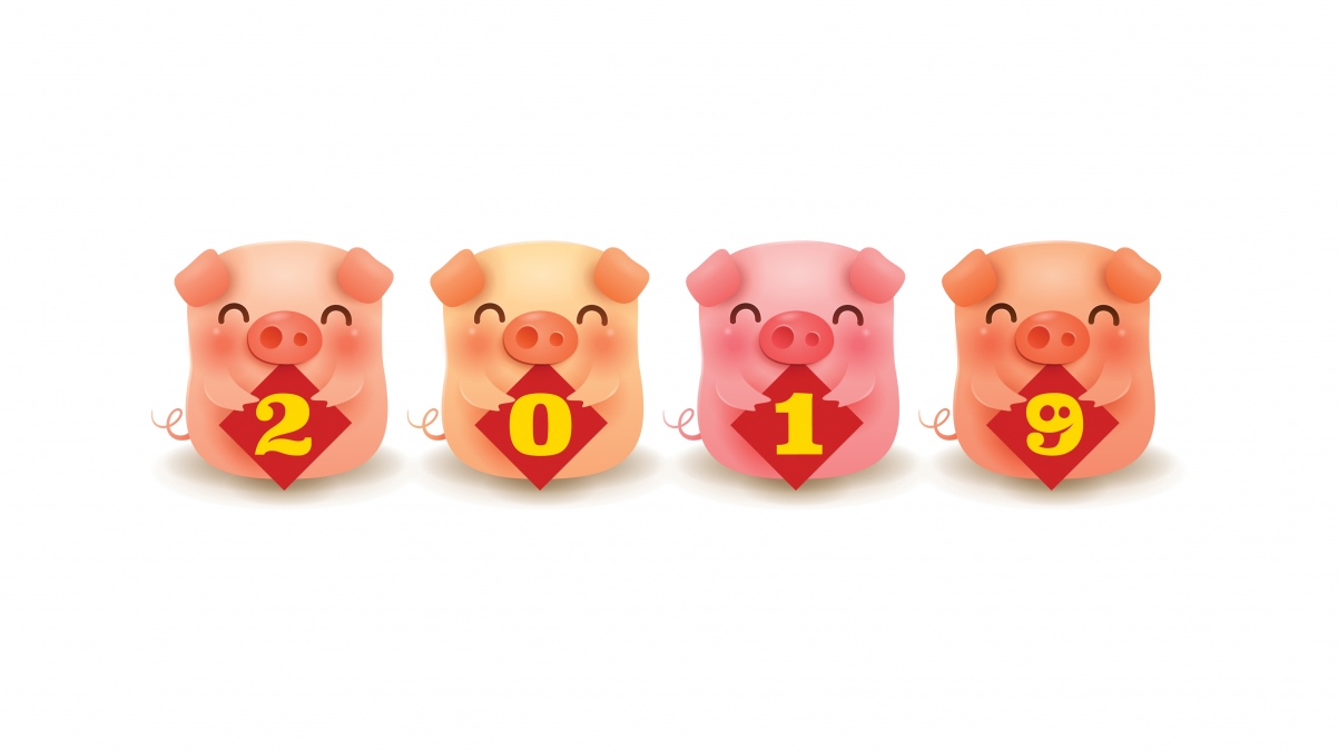 2019 Chinese New Year cute piggy 4k wall